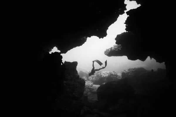 auto draft auto draft