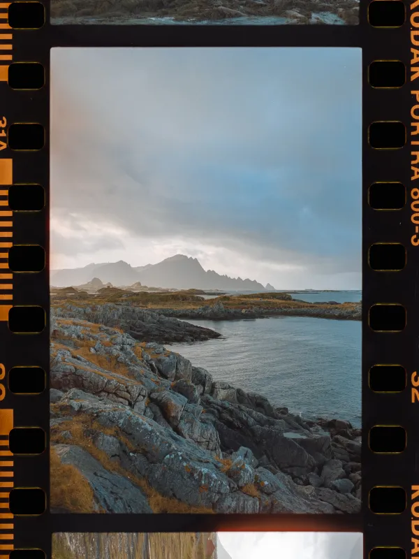 kodak portra 800 35mm film 36 exposures kodak portra 800 35mm film 36 exposures